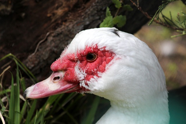 国足训练营进入封闭模式，外界信息有限