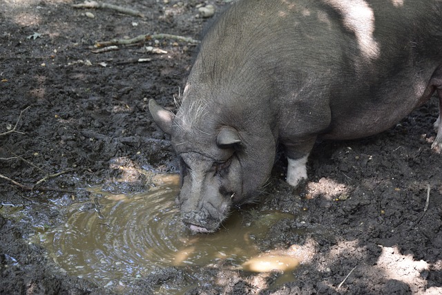 名的旅游目 名的旅游目