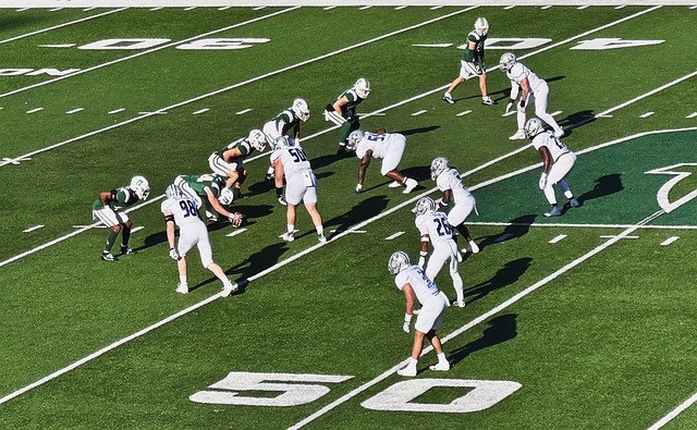 着他们在未 着他们在未