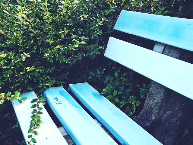 使得季后赛 使得季后赛