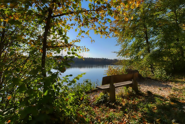 他的再就业 他的再就业