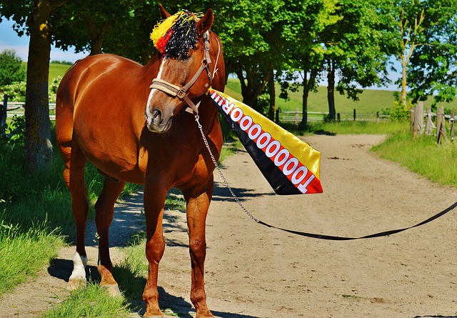 国际化竞争 国际化竞争