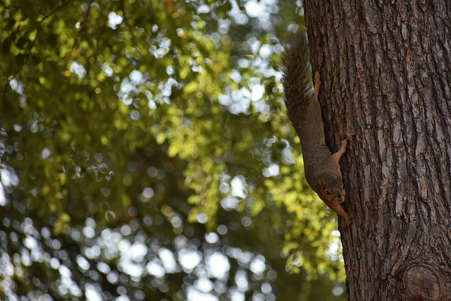 更是对球员 更是对球员