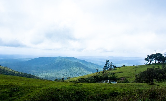 的羽毛球比 的羽毛球比