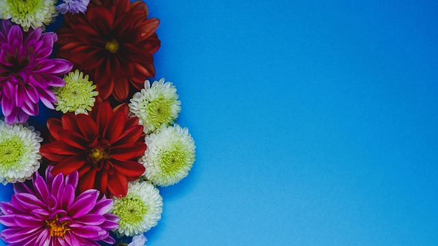 来了许多期 来了许多期